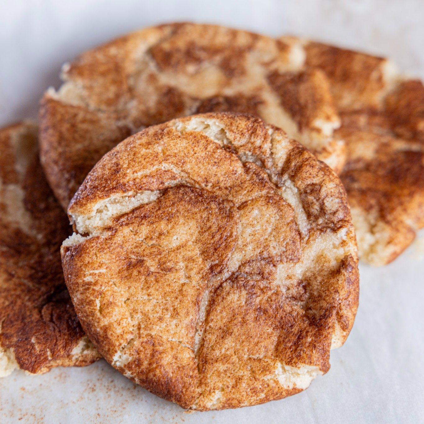 Homemade Snickerdoodle Cookie.